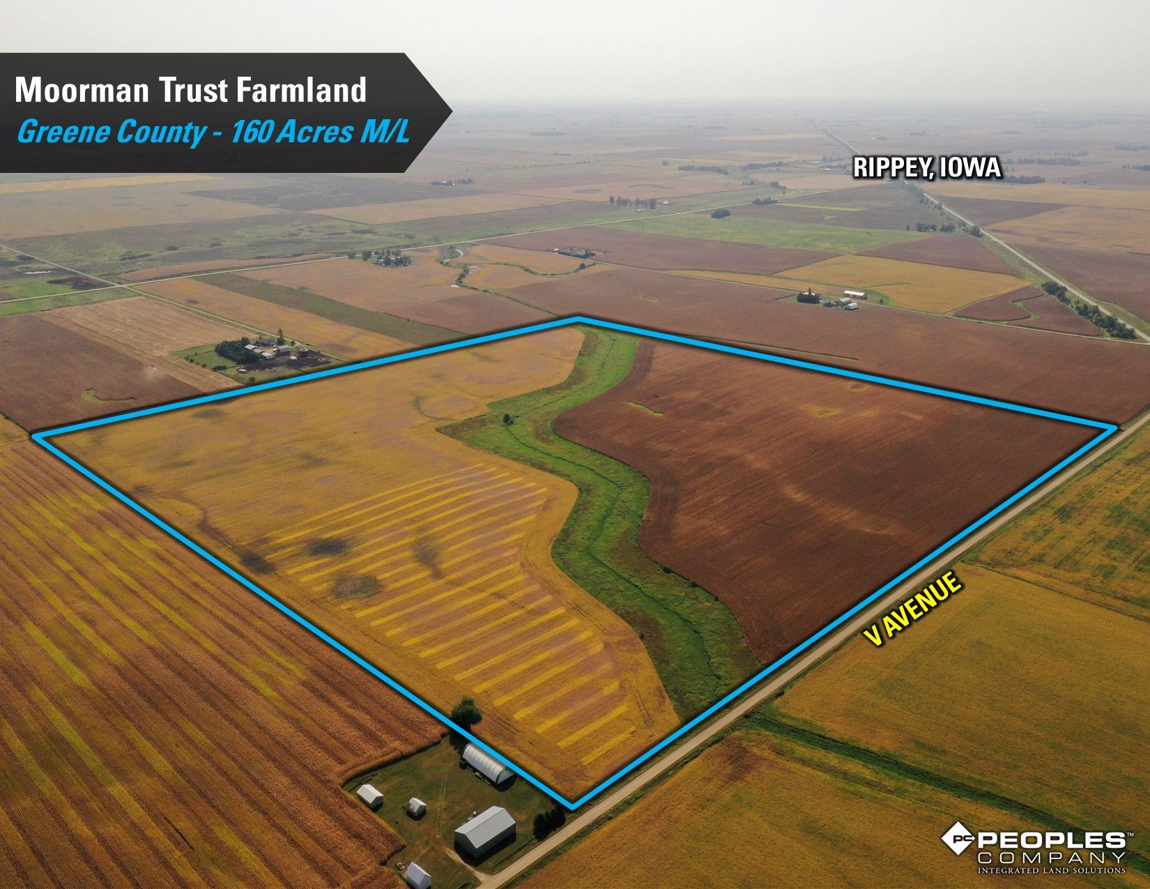 Listing Photo: Greene-County-Iowa-Farmland-Auction-160-Acres-Moorman-Rippey-IA-18618 (4)